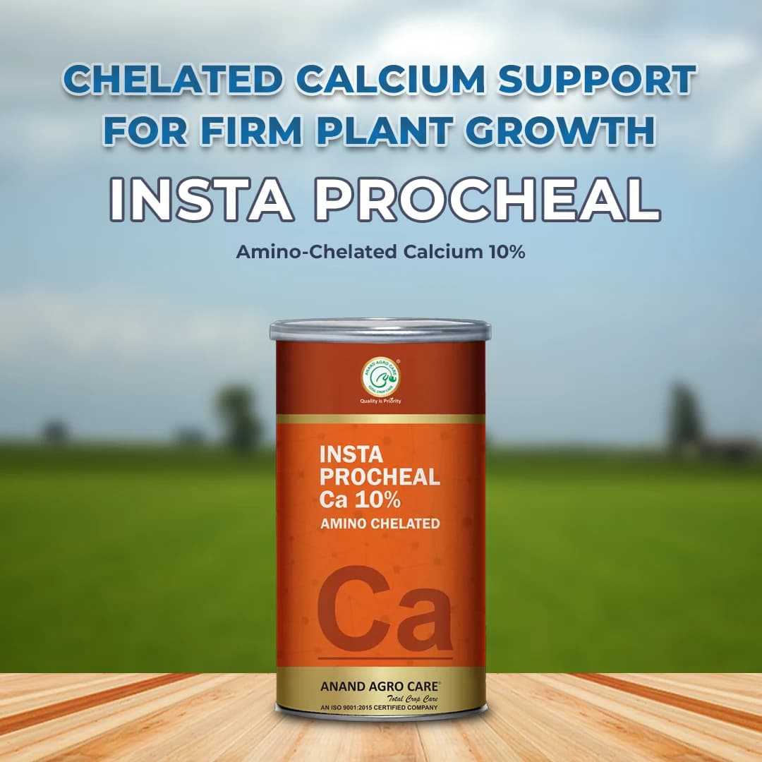 इंस्टा प्रोचियल चीलेटेड कैल्शियम 10%, कैल्शियम 10% शामिल है, सभी फसलों और सब्जियों के लिए सर्वोत्तम। - Image 2
