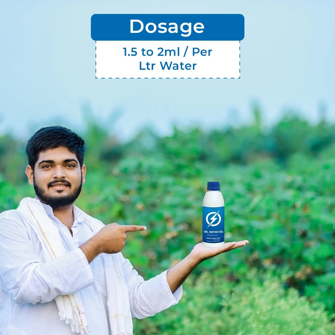 Dr. Ortho Sil Silicic Acid 2%, Regulates Nutrient Production In Plants, Increases Photosynthetic Activity In Plants - Image 5