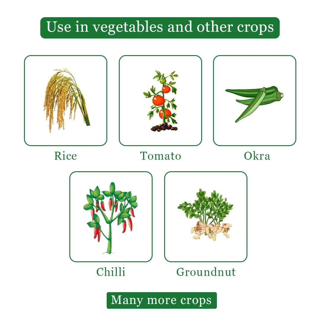 HPM Permit 99 Profenofos 40% + Cypermethrin 4% EC Insecticide, Effective For Sucking And Chewing Pests In Crops - Image 4