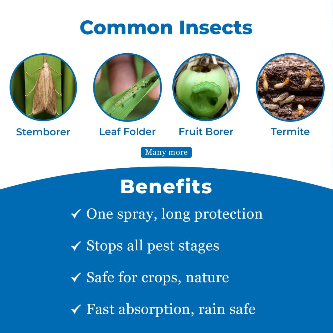 JU Decigen Chlorantraniliprole 18.50% SC Insecticide, Long-Lasting Insect Control In Crops - Image 3