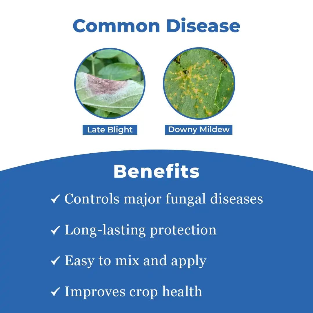 Dhanuka Melody Duo Fungicide - Image 3