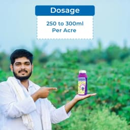 Godrej Hitweed Maxx Pyrithiobac Sodium 6% + Quizalofop ethyl 4% MEC, Early Post-Emergence and Selective Herbicide 5