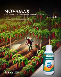 Exylon Novamax Novaluron 5.25% + Emamectin Benzoate 0.9% SC Insecticide, Dual-Action Pest Control Solution 2