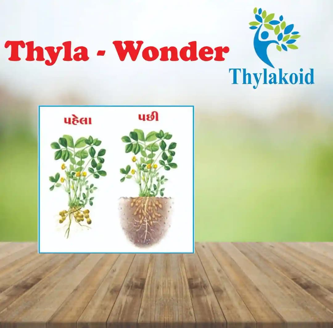Thyla Wonder Soil Diseases Prevention (Herbal Preparation extract). Herbal preparation extract 100%. Certified By IFOAM Biocert