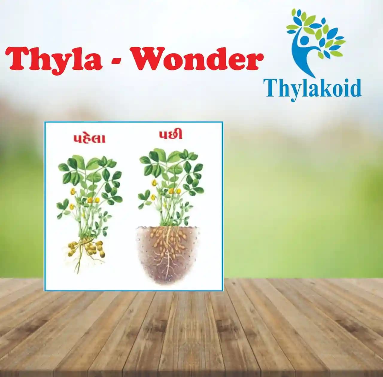 Thyla Wonder Soil Diseases Prevention (Herbal Preparation extract). Herbal preparation extract 100%. Certified By IFOAM Biocert - Image 1