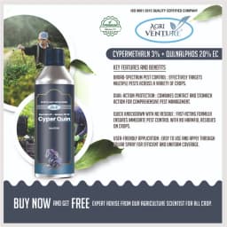 Agriventure Cyper Quin Cypermethrin 3% + Quinalphos 20% EC Insecticide, Effective Pest Control In Crops 3