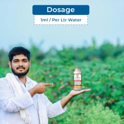 Sudarshan Sutathion Pyriproxyfen 8% + Dinotefuron 5% + Diafenthiuron 18% SC Insecticide, Use For Brinjal, Tomato and Cotton 5