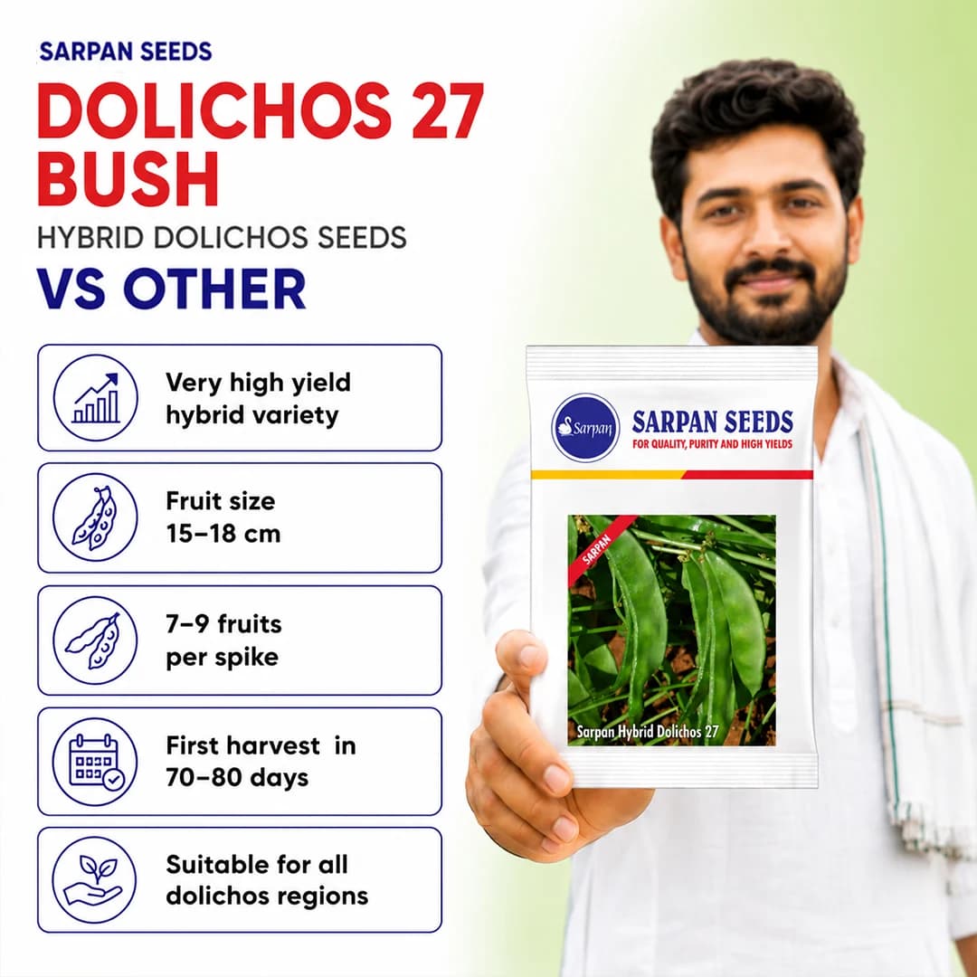 सरपन डोलिचोस 27 बुश, हाइब्रिड डोलिचोस बीज, सब्जी के बीज, उत्कृष्ट उपज, सभी क्षेत्रों में उगाने वाले - Image 4