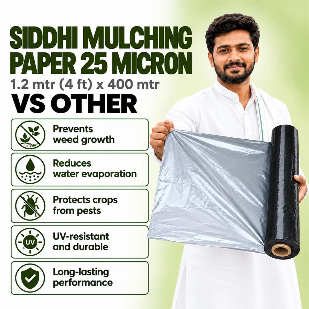 सिद्धि मल्च फिल्म विथ होल, सिल्वर प्याज, लहसुन के लिए उपयोगी, (25 माइक्रोन ब्लैक) और (4 फीट x 400 मीटर) 4 इंच x 4 इंच x 10 लाइन - Image 5