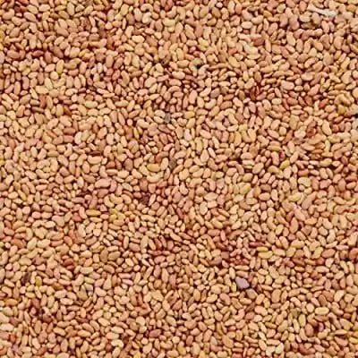 RK Seeds Alfalfa Seeds - (Medicago Sativa) Lucerne Seeds, Cattle Grass Seeds, Fodder, Grass Seeds, Kuthirai Masal Grass Seeds
