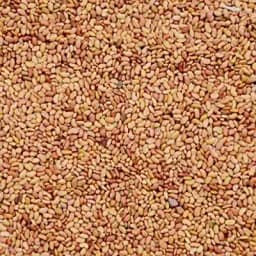 RK Seeds Grass seeds, Alfalfa seeds , Lucerne seeds, Medicago Sativa , Cattle grass seeds , Fodder, grass seeds, Kuthirai masal grass seeds 5