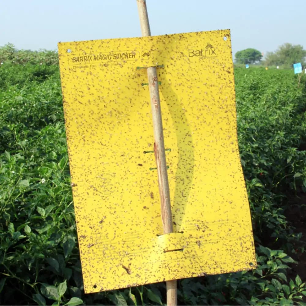 Barrix Magic Sticker Sheet, Non-Drying, Non-Fading, Non-Dripping. Double Side Gumming, Effective In Mass Trapping. - Image 5