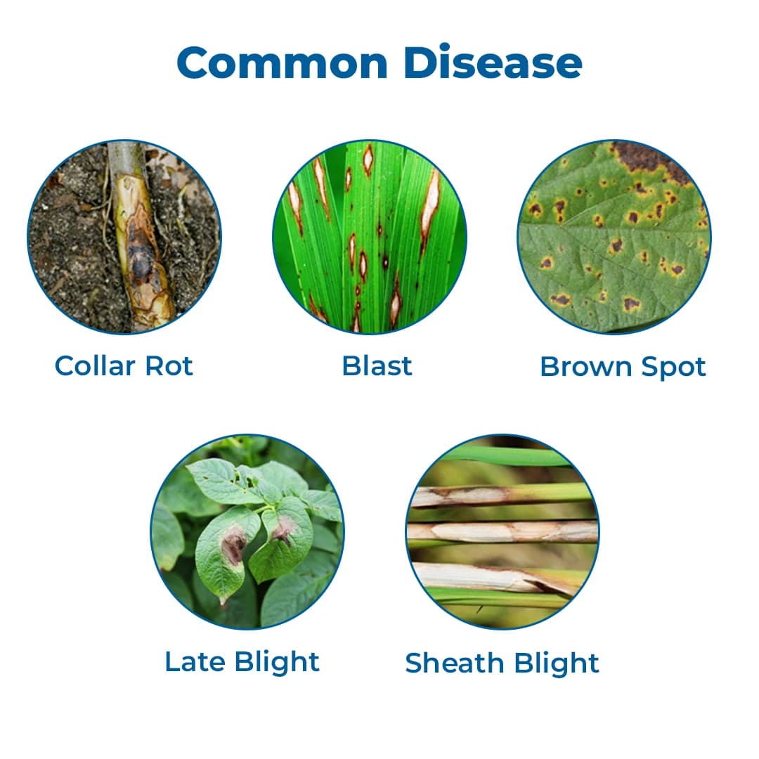 Indofil Sprint Fungicide - Image 3