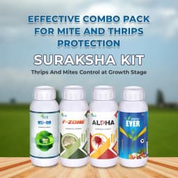 Suraksha Kit For Thrips And Mites Control at Growth Stage 40-45 Days (F-Zone 250 ML + Alpha Bio 250 ML + Spring Ever 1 Ltr + NB 80 250 ML) 2