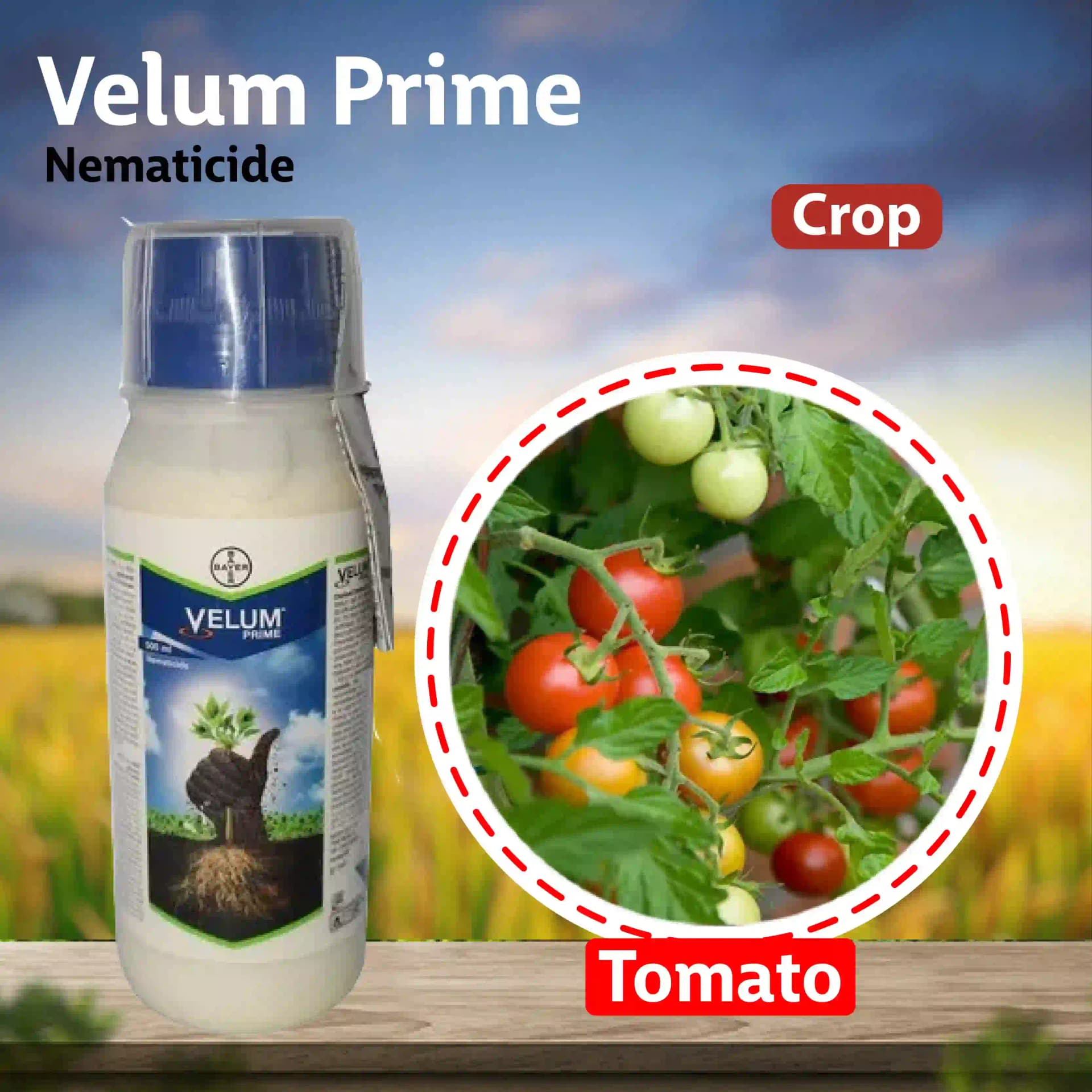 Bayer Velum Prime Nematicide - Image 7