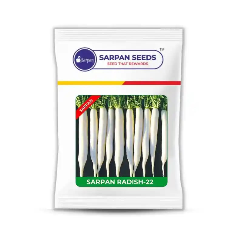 Sarpan Hybrid 22 Radish Seeds. Long Roots, Non Hairy Leaves, Medium Pungent