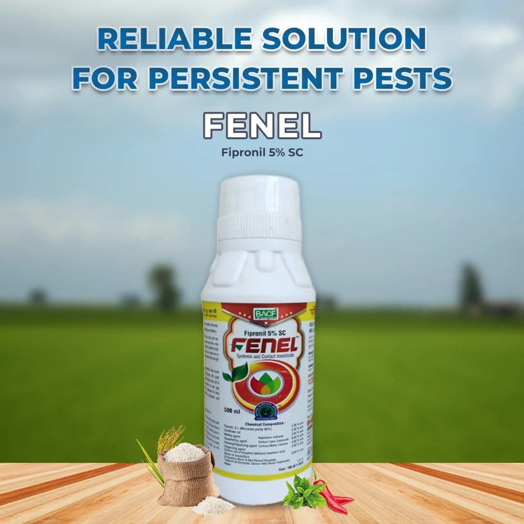 BACF Fenel Fipronil 5% SC Contact and Systemic Insecticides , Best For Leafhopper, Gall Midge - Image 2