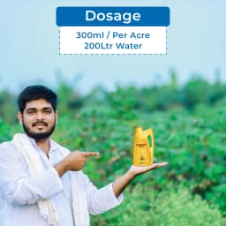 रामसाइड्स ऑलविन गोल्ड सुपर पौध वृद्धि नियामक, विशेष रूप से सब्जी फसलों में उपयोग किया जाता है 5