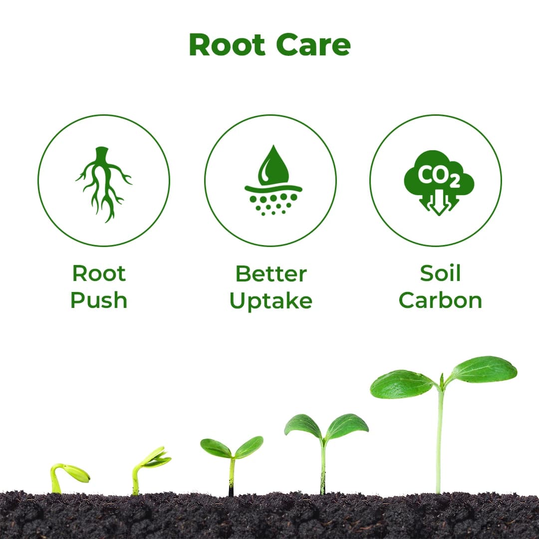 Anand Root-Fast Powder (Super Potassium Hamate 98%) Plant Growth Promoter, Improves Soil Health And The Nutrient Uptake - Image 3