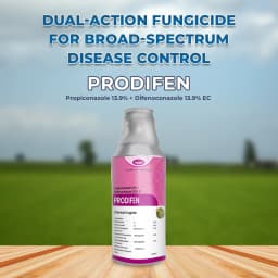 Katyayani Prodifen Propiconazole 13.9% + Difenoconazole 13.9% EC Fungicide, Control Of Sheath Blight 2
