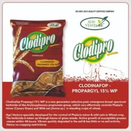Agriventure Clodipro Clodinafop Propargyl 15% WP Herbicide, Selective Post Emergence And Broad Spectrum Herbicide, Use For Wheat Crop. 3