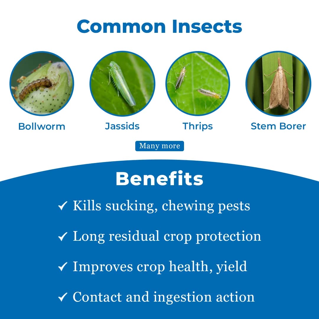 Bacf Sanda Lambda Cyhalothrin 5% EC Insecticide, Contact And Systematic Action - Image 3