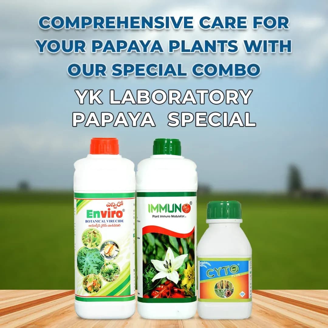 YK Laboratory Papaya Special (Set of Immuno 1 ltr + Enviro 1 ltr + Cyto Plus 550ml) - Image 2