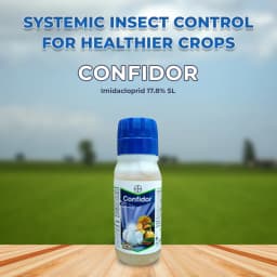 Bayer Confidor Imidacloprid 17.8% SL Broad Spectrum Insecticide, For Control of Aphid, Jassid, Thrips, White Fly, Termite, Hopper and Others 2