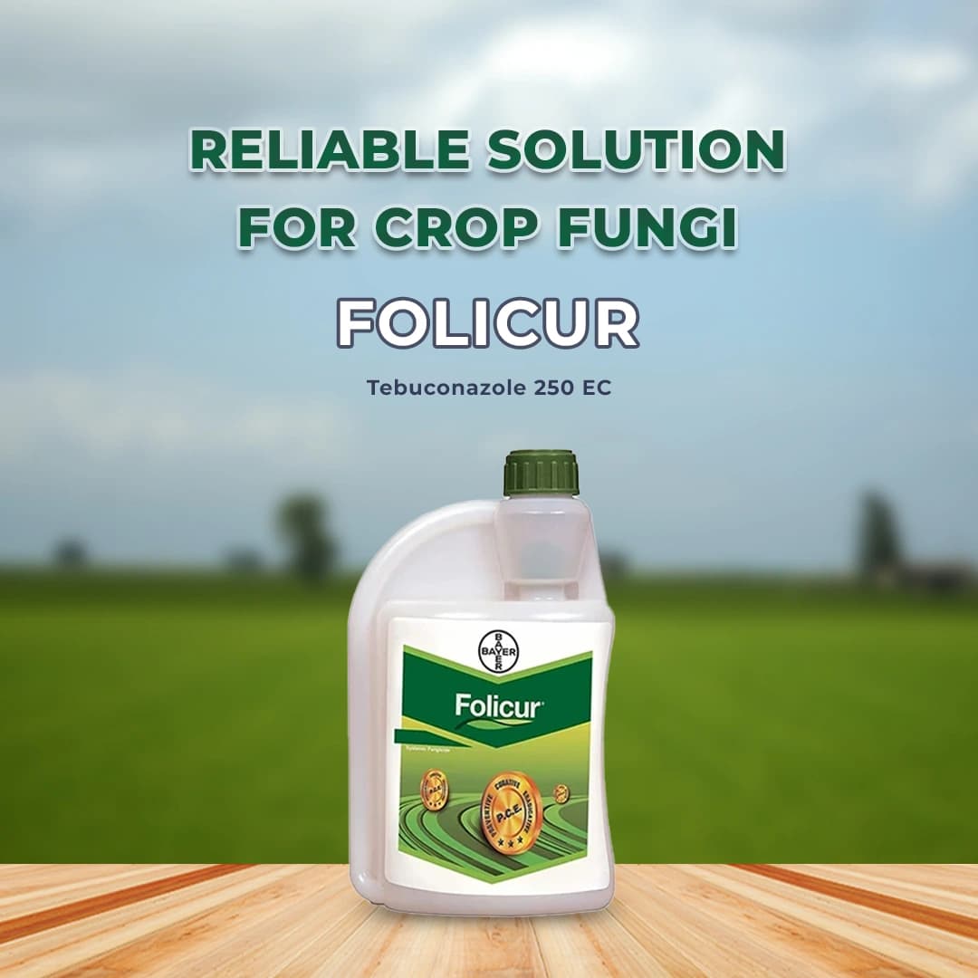 Bayer Folicur Tebuconazole 250 EC Systemic Broad Spectrum Triazole Fungicide. - Image 2