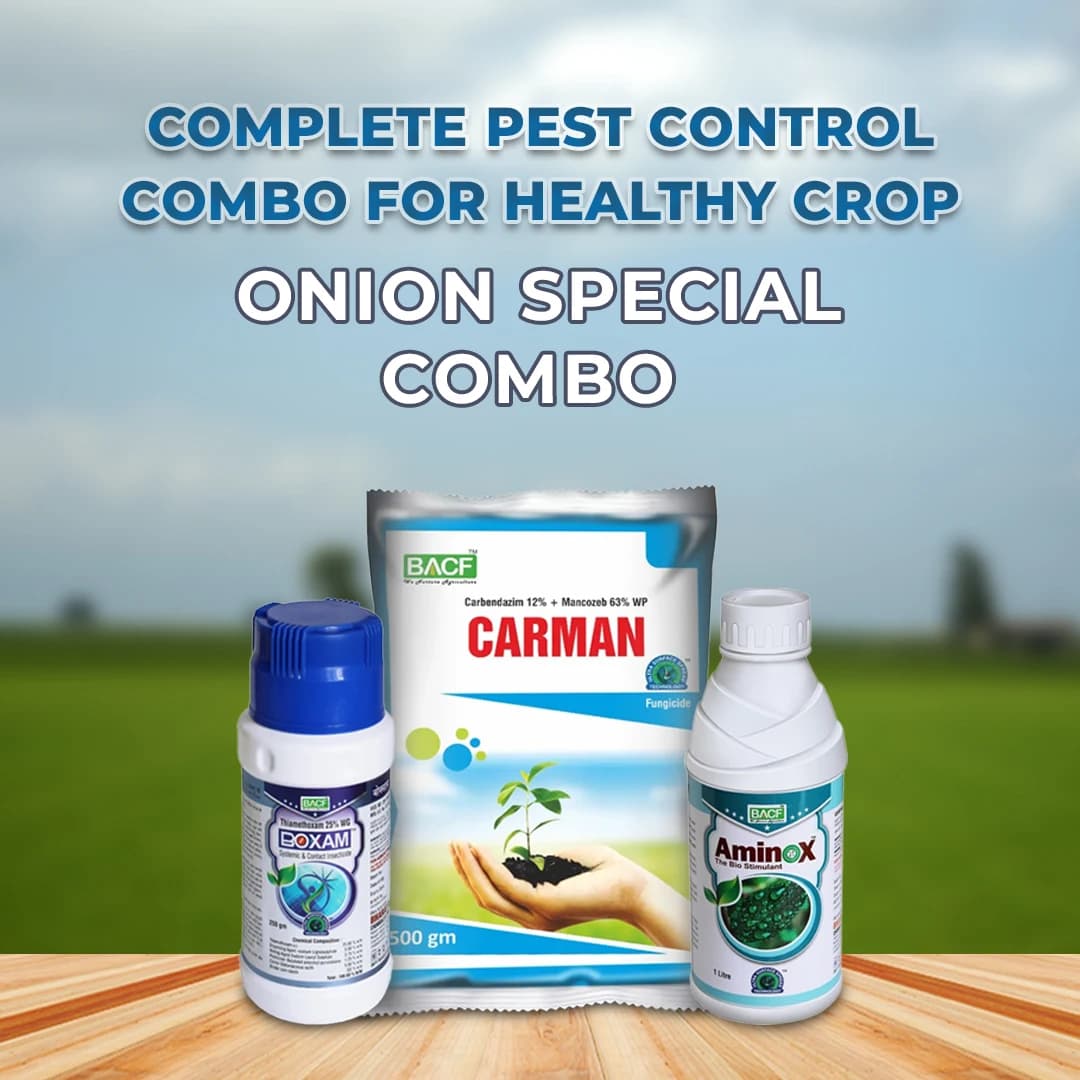 Onion Special Combo Pack for Initial Stage (Boxam 250 Gm + Carman 500 Gm + Aminox 500 ML) Sucking Pest, Purple Blotch Control & Overall Plant Growth - Image 2