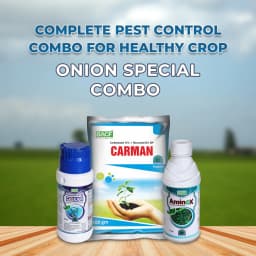 Onion Special Combo Pack for Initial Stage (Boxam 250 Gm + Carman 500 Gm + Aminox 500 ML) Sucking Pest, Purple Blotch Control & Overall Plant Growth 2