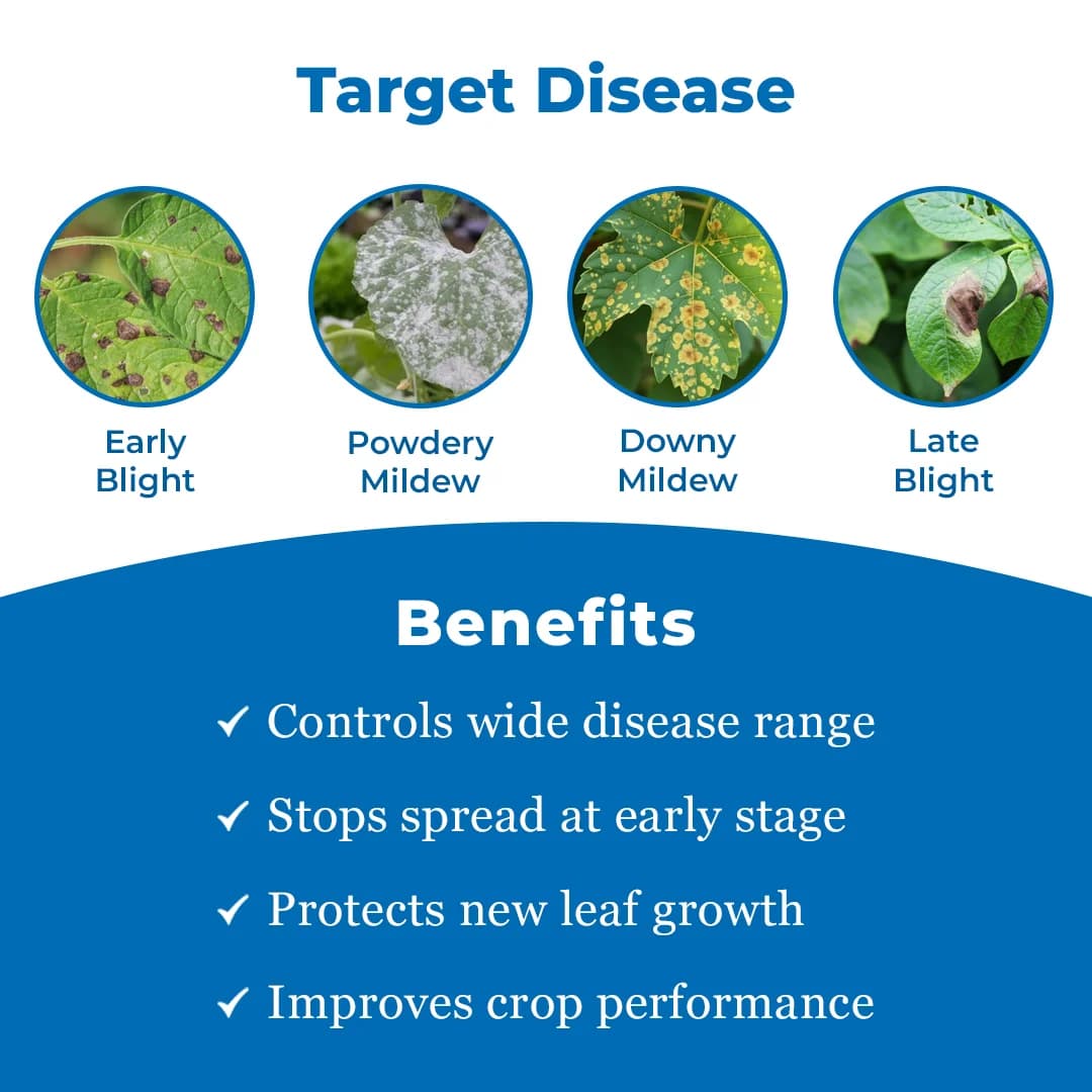 BACF Anton Fungicide - Image 3