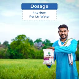 Cubic NPK 00:52:34 Water Soluble Fertilizer, Mono Potassium Phosphate (Highly Concentrated Source Of Both Phosphorus And Potassium) 5