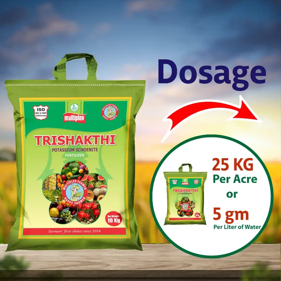 Multiplex Trishakthi Potassium Schoenite, Water Soluble Fertilizer, Boosts Crop Growth, Quality And Yield - Image 3