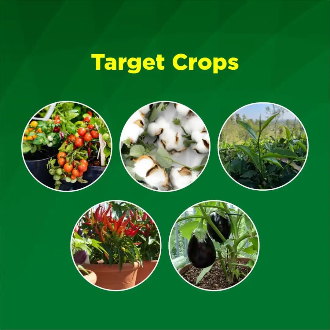 Titan Agritech Niimpa 10000 Azadirachtin 1% Biopesticide, 10000 PPM, Broad-Spectrum And Natural Pest Management - Image 6
