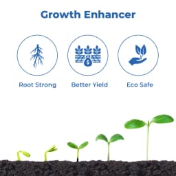 Seaweed Extract A Natural Organic Fertilizer, Natural Highly Specialized Bio Stimulant. 3