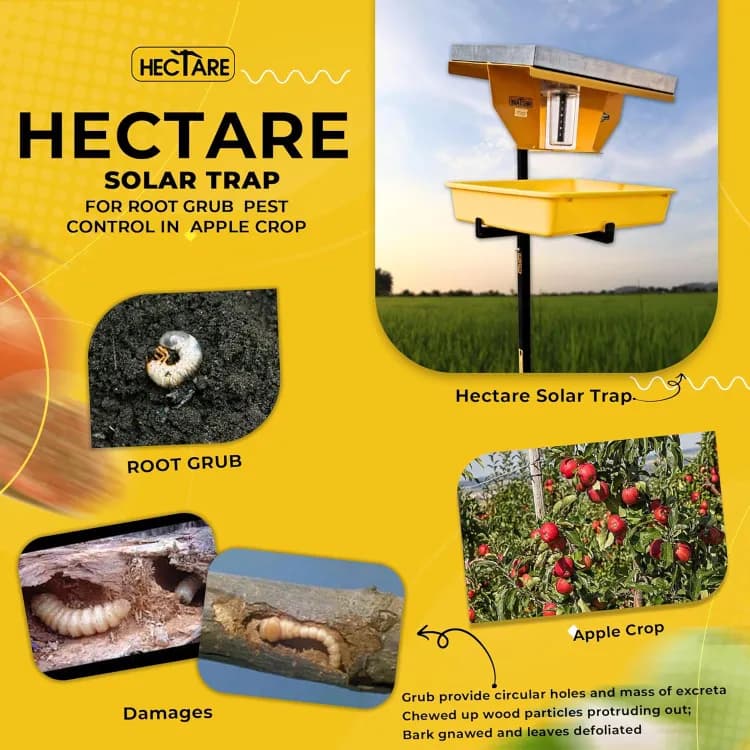 Hectare Automatic Solar Insect Trap with 10 watt Solar Panel UV Light. To capture all types of Insects of Crops. - Image 8