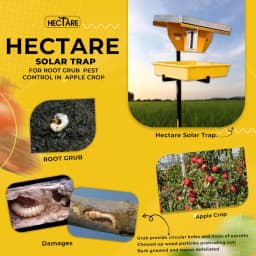 Hectare Automatic Solar Insect Trap with 10 watt Solar Panel UV Light. To capture all types of Insects of Crops. 8
