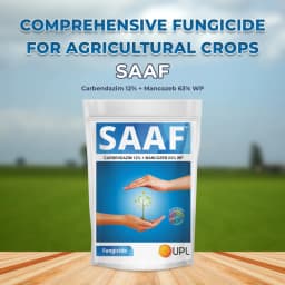 UPL Saaf Fungicide - Carbendazim 12% + Mancozeb 63% WP 2