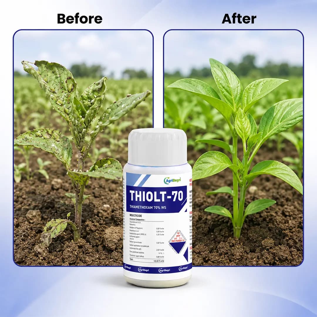 Thiolt-70 Insecticide - Thiamethoxam 70% WS - Image 6
