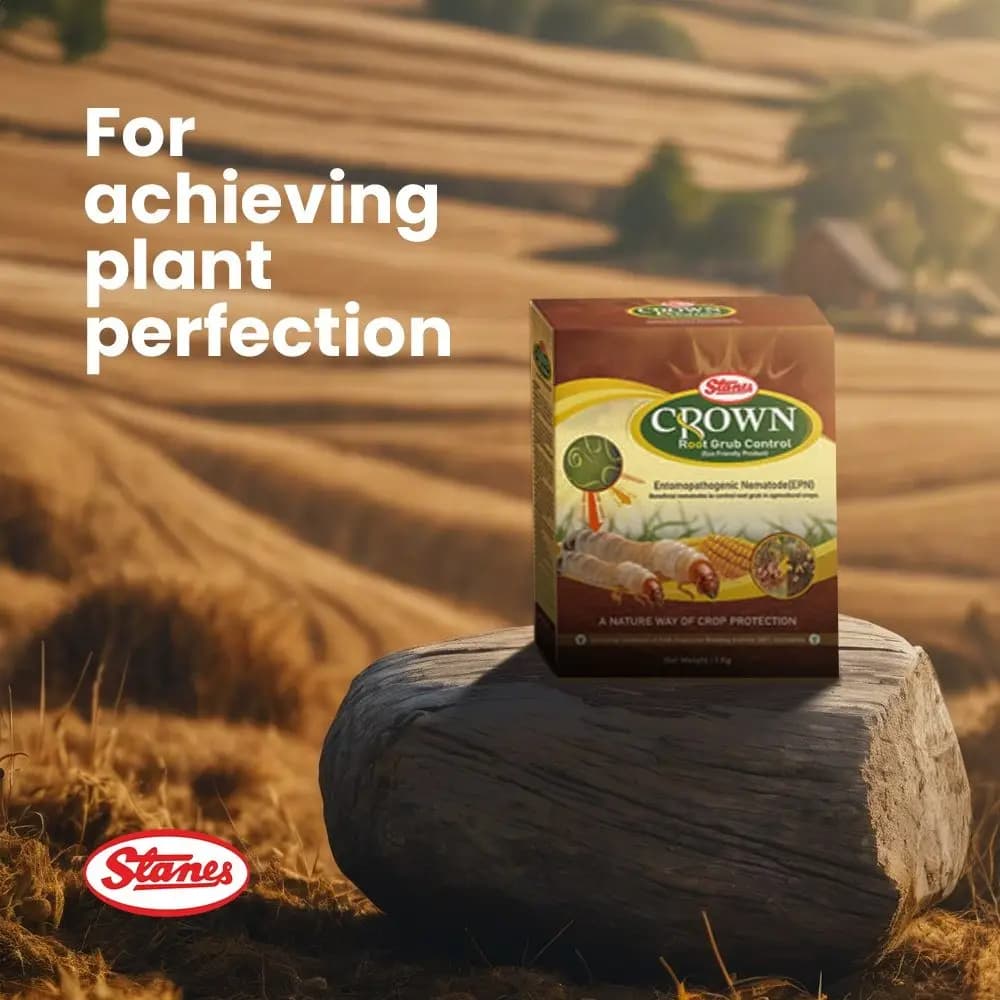 T. Stanes CROWN Nematode Insecticide, Heterorhabditis Indica with Effective Root Grub Control In Crops - Image 4