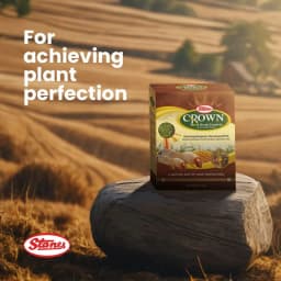 T. Stanes CROWN Nematode Insecticide, Heterorhabditis Indica with Effective Root Grub Control In Crops 4