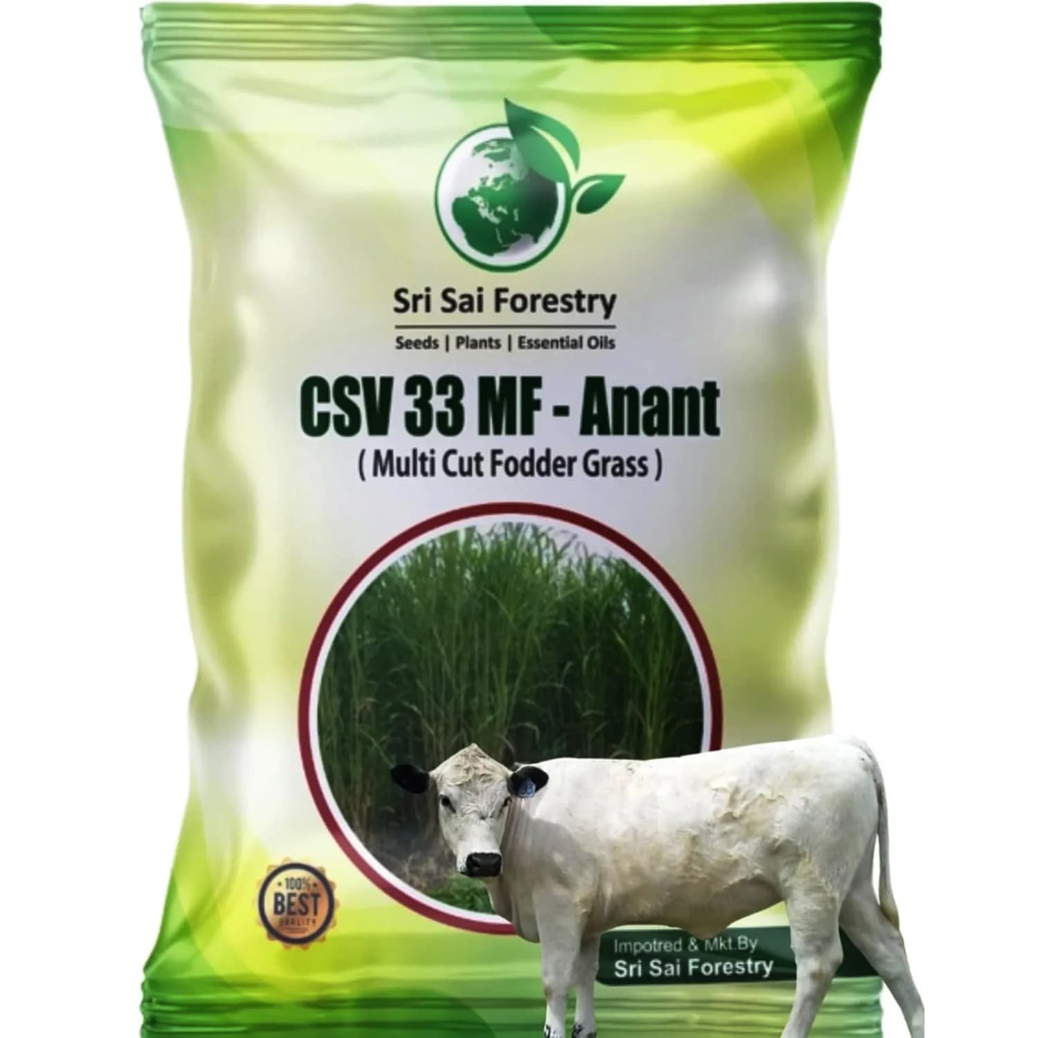 CSV 33 MF-Anant - Multicut Fodder Grass - Image 6