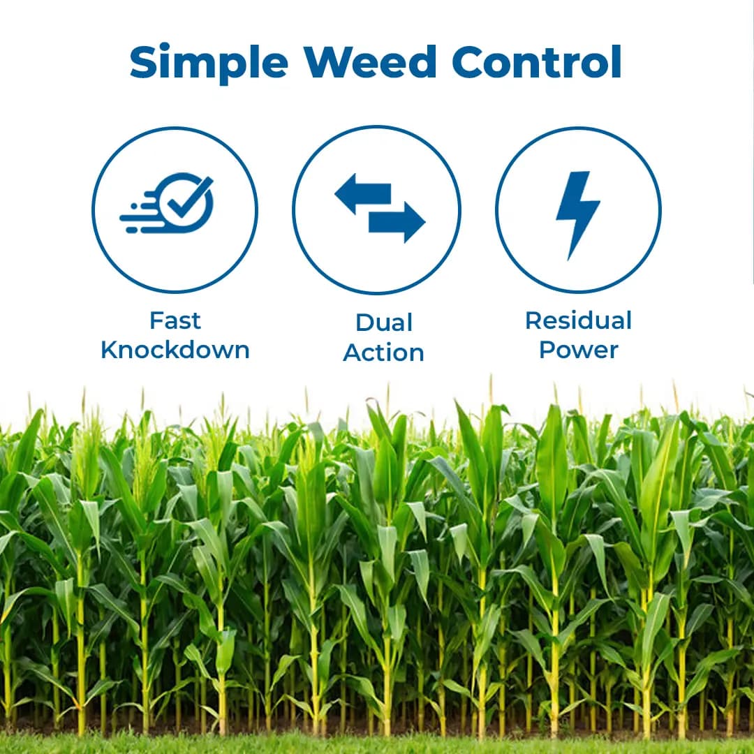 Thakar Chemicals TOEDIS Tembotrione 34.4% SC Herbicide, Post Emergence, Broad-Spectrum, Efficient For Broadleaf And Grassy Weeds In Corn - Image 3