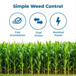 Thakar Chemicals TOEDIS Tembotrione 34.4% SC Herbicide, Post Emergence, Broad-Spectrum, Efficient For Broadleaf And Grassy Weeds In Corn 3