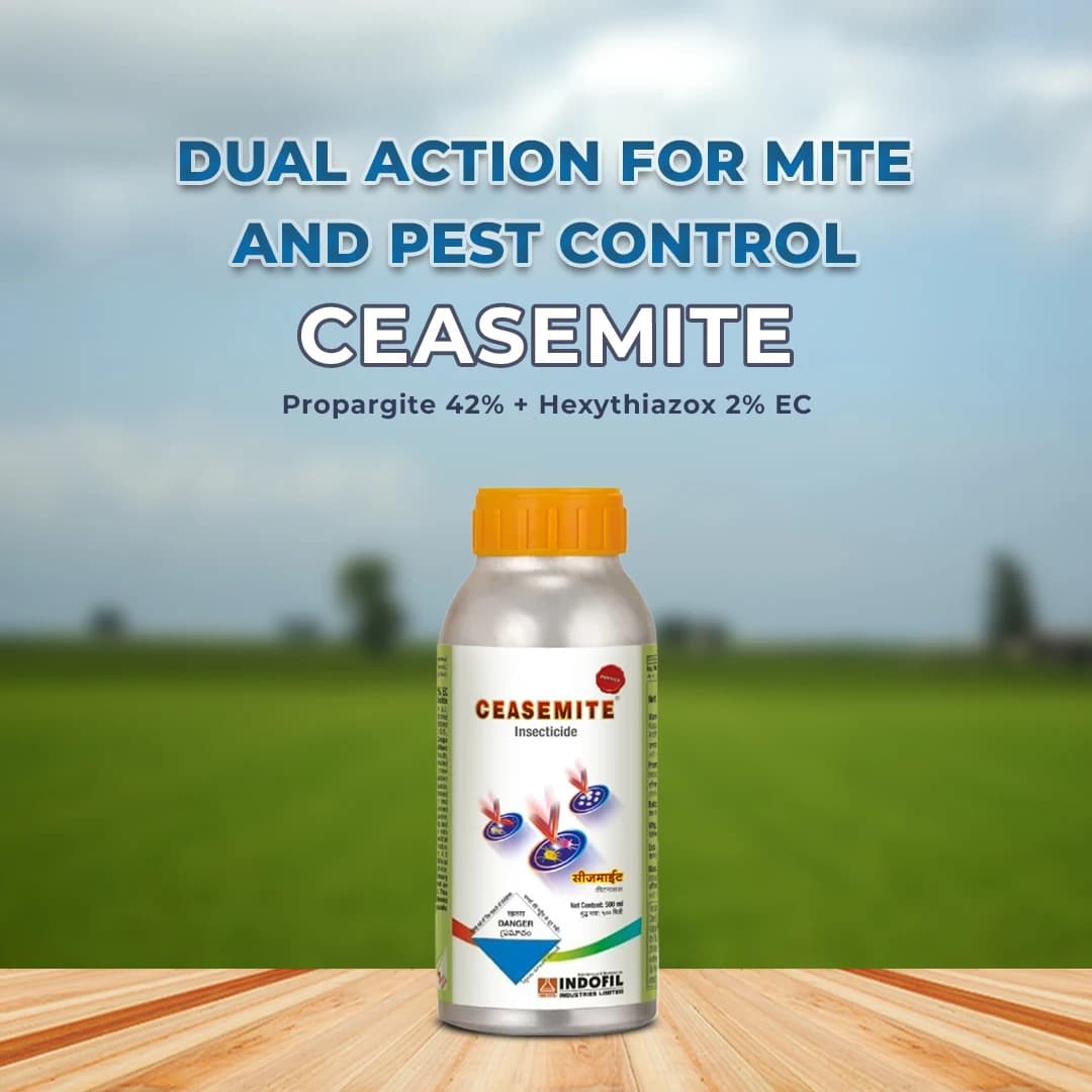 Indofil Ceasemite Propargite 42% + Hexythiazox 2% EC Insecticide, Effective Complete Mite Control in Crops - Image 2