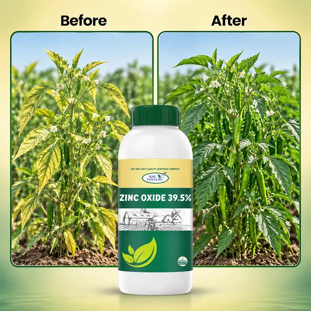 Agriventure Zinc Oxide 39.5% - Liquid Micronutrient fFertilizer, Prevent Zinc Deficiencies In Crops - Image 5