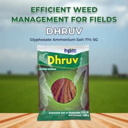 Hpm Dhruv Glyphosate Ammonium Salt 71% Sg , Use To Control Annual Grass As Well As Broad Leave Weeds. 2