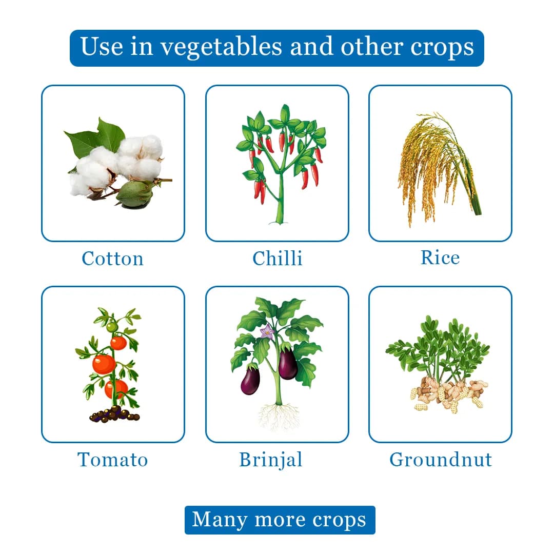 Midatek - Imidacloprid 30.5% SC, Systemic Action Insecticide Effective Against Chewing and Sucking Insects - Image 4
