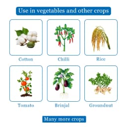 Midatek - Imidacloprid 30.5% SC, Systemic Action Insecticide Effective Against Chewing and Sucking Insects 4